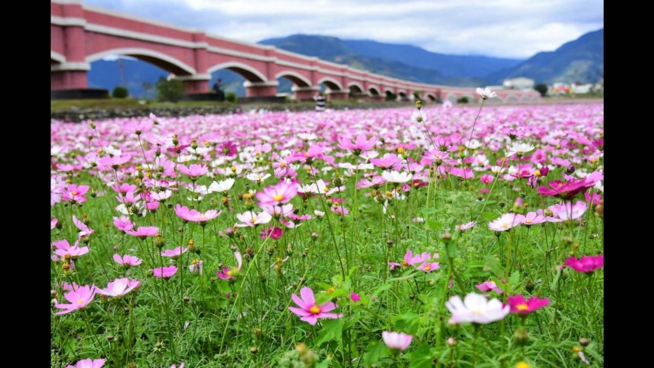 דירות Taitung Rose Castle מראה חיצוני תמונה